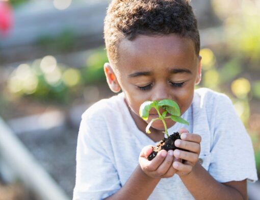7 formas de desenvolver a educação ambiental na escola