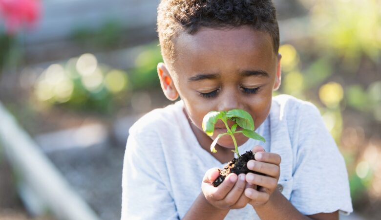 7 formas de desenvolver a educação ambiental na escola